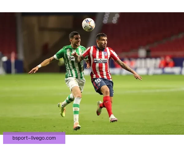 体育竞猜投注策略全面解析助你精准预测赛事结果提升盈利技巧